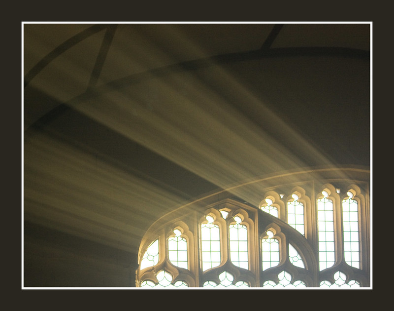 Light (image by Lawrence Lew o.p.